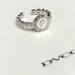 1228-Dvccio.jpg